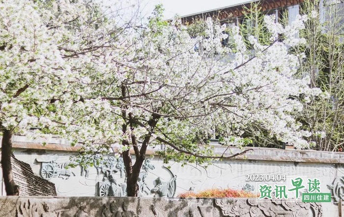 1680578582512088822.jpg 640.jpg